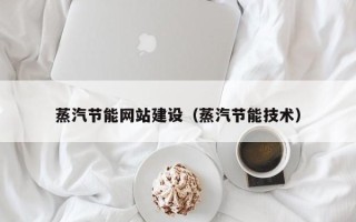 广饶蒸汽节能网站建设（蒸汽节能技术）